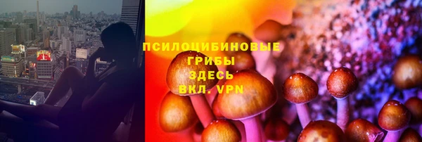 первитин Нея
