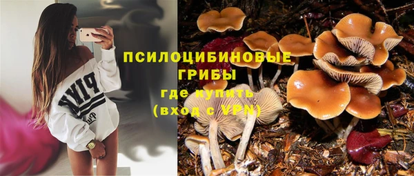 каннабис Нефтекумск