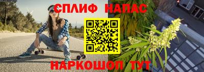 гидропоника Аргун