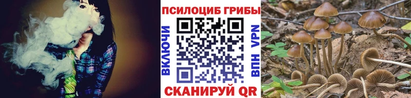 где купить наркоту  Каменск-Уральский  Псилоцибиновые грибы мицелий 