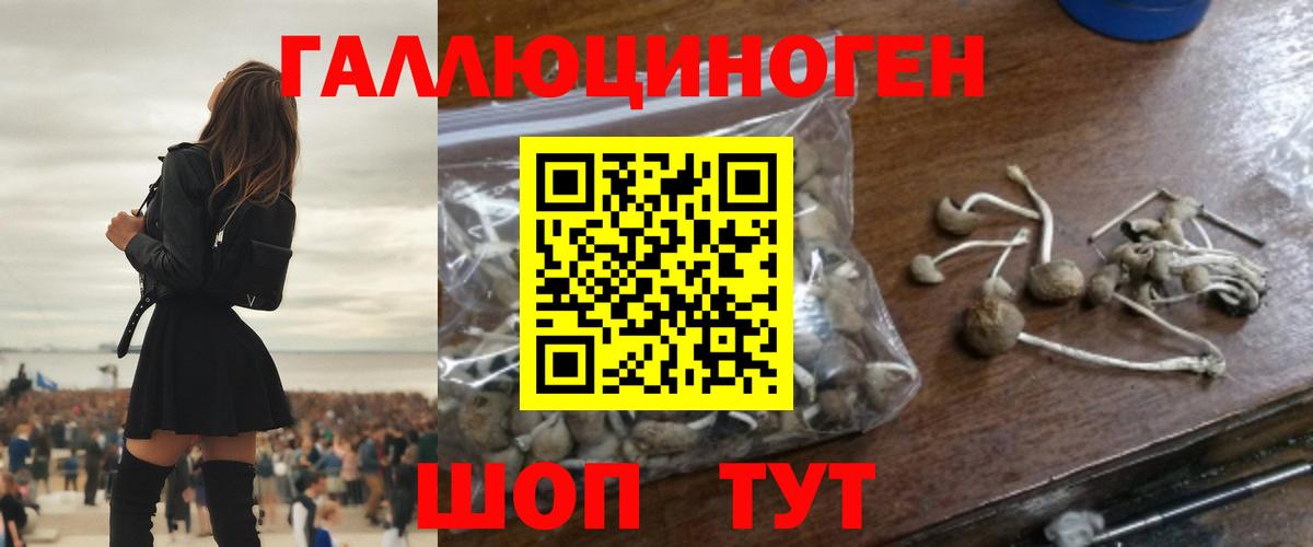 закладки  Вход с VPN  Каменск-Уральский  Псилоцибиновые грибы MAGIC MUSHROOMS 